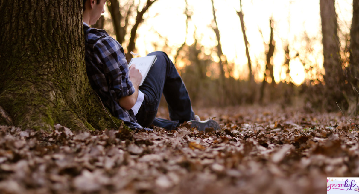 50+ Alone Sad Shayari in English With Meaning